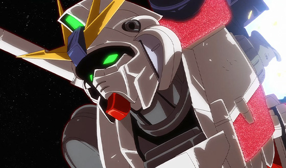 C-Packs (NT-D Activated State)